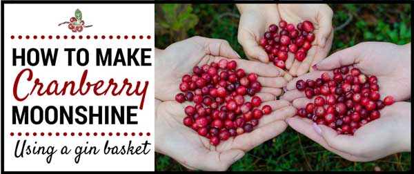 How To Make Cranberry Moonshine