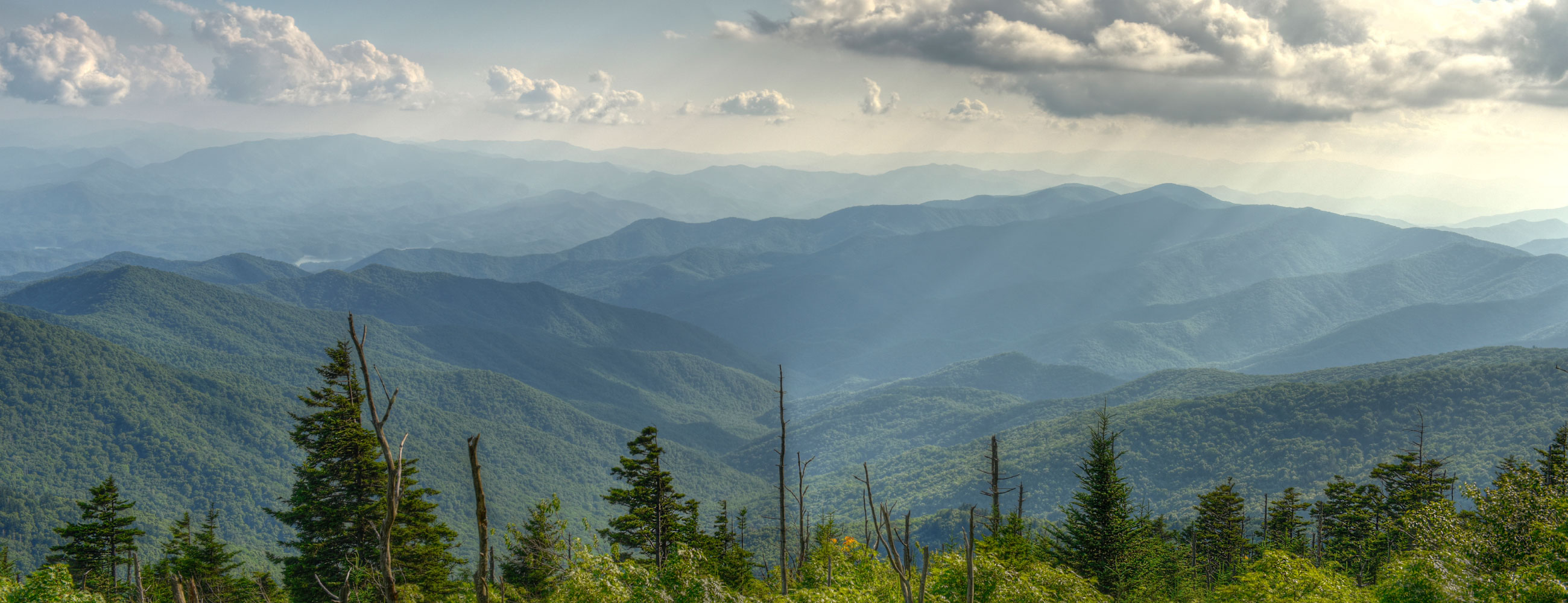 Truebru Homebrew Supply Truebru Homebrew Supply