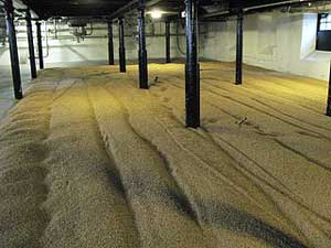 Malting Floor (courtesy of Wikimedia Commons)