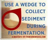 /wp-content/uploads/2024/07/sediment-duting-fermentation.jpg