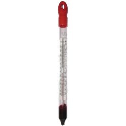 Floating Thermometer