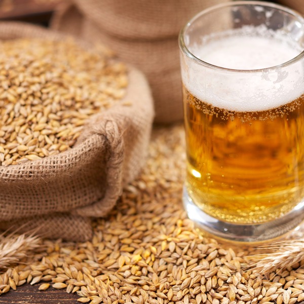 Base Brewing Grains