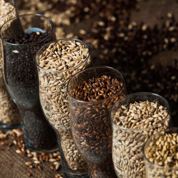 Specialty Grains