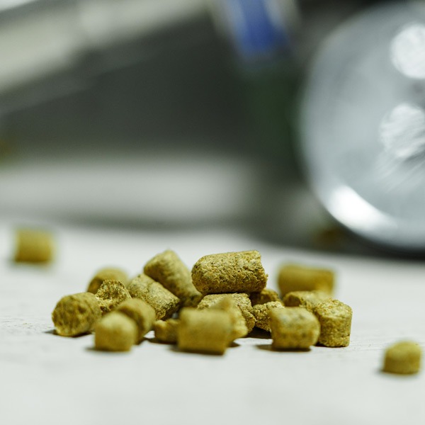 Hop-Pellets_1088466312