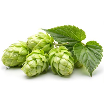 Hops-Whole