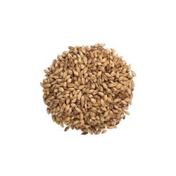 PRAIRIE PALE ALE
