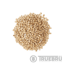 Briess- Torrified Wheat