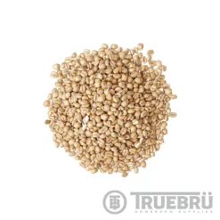 Briess- Torrified Wheat
