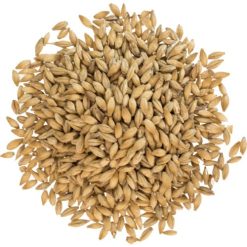 Prairie 2-Row Brewers Malt 10LB