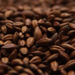Crisp- Pale Chocolate