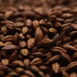 Crisp- Pale Chocolate