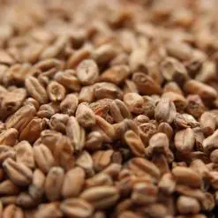 Weyermann- Dark Wheat