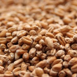 Weyermann- Pale Wheat