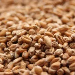 Weyermann- Pale Wheat