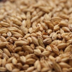 Prairie Malt Salzgitter German Vienna