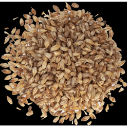 Briess- Caramel 10L