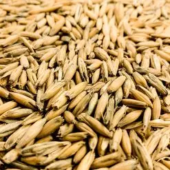 Gambrinus- Honey Malted Oats