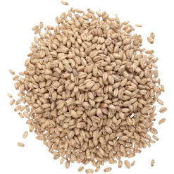 Prairie- White Wheat Malt
