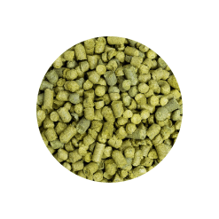 Saaz Pellet Hops, 1oz